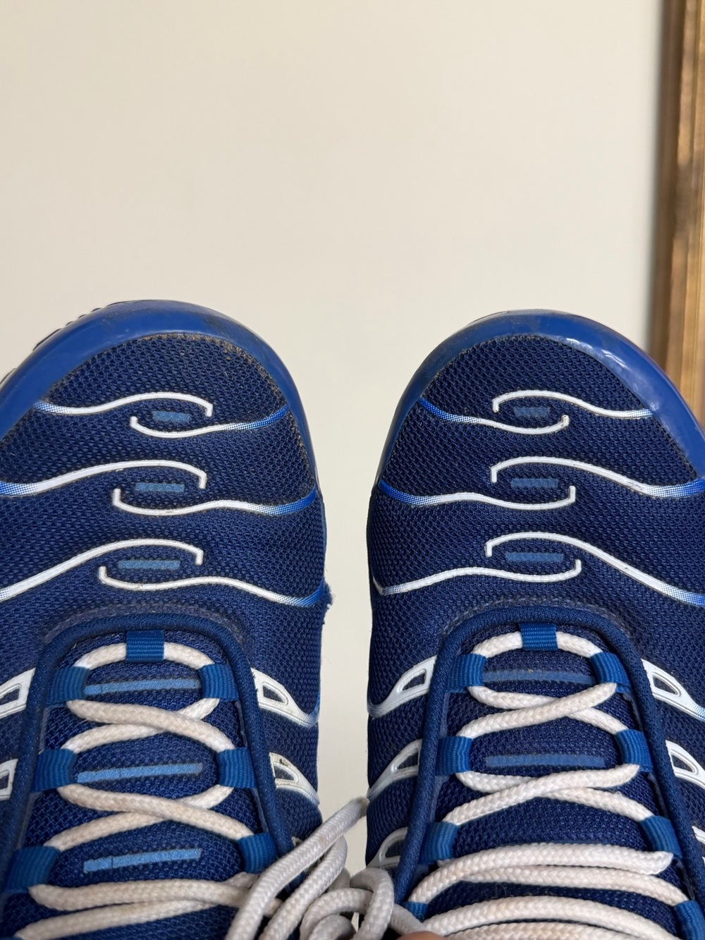 Nike Air Max Plus TN Arctic Chill Men’s Size 8 Royal Blue White - Picture 12 of 12